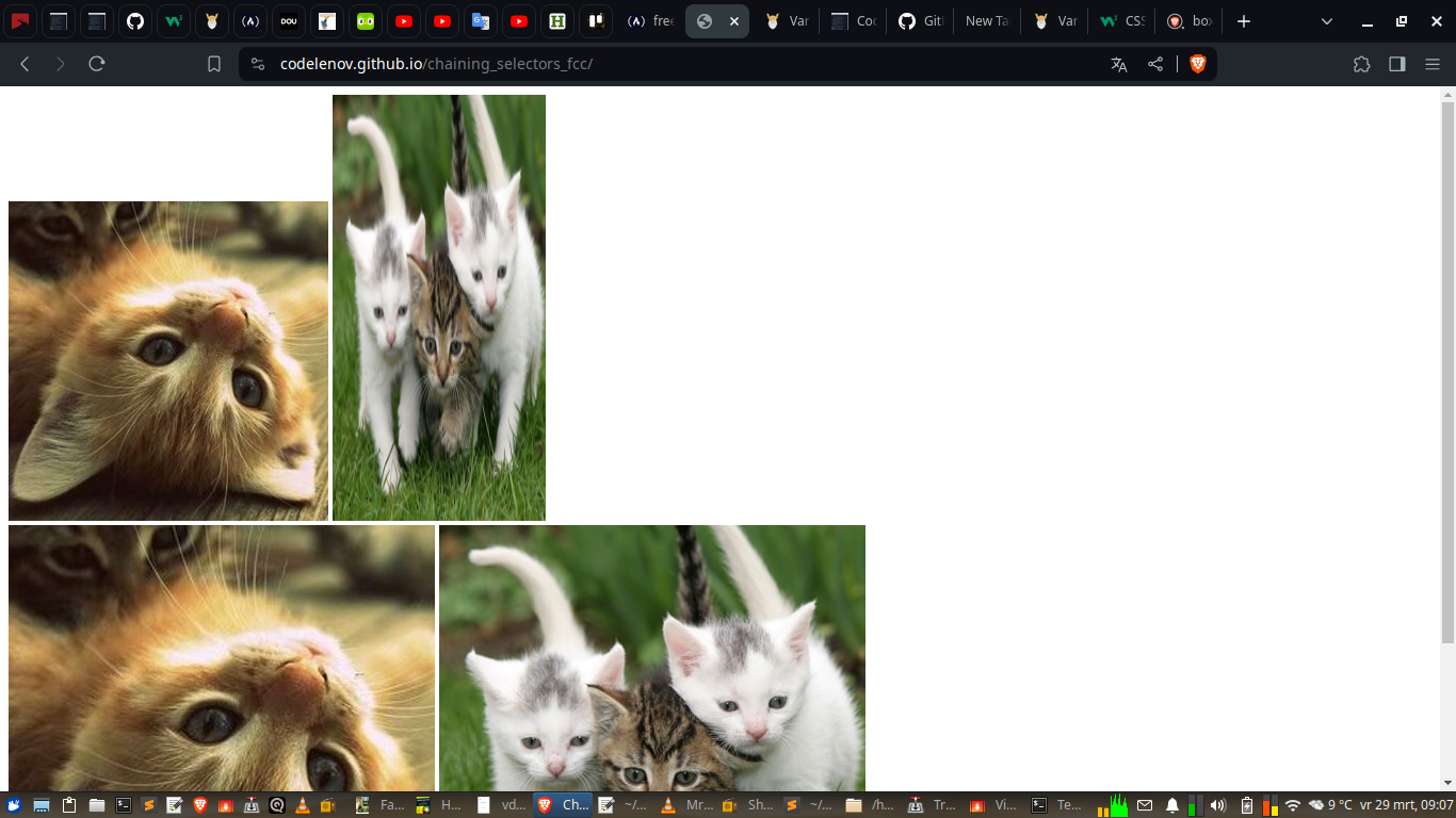 chaining_selectors_fcc_image