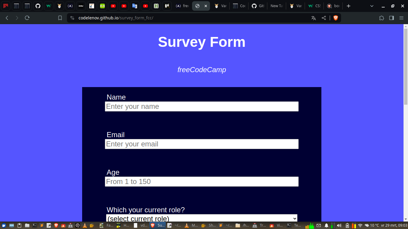 survey_form_image